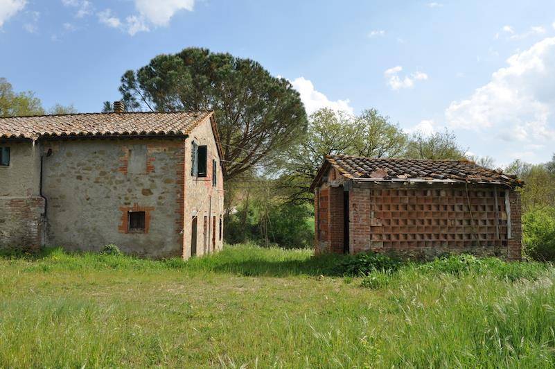 immagine annuncio 4 di 9