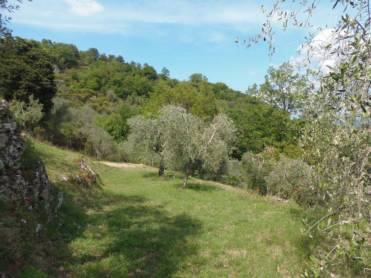immagine annuncio 3 di 9