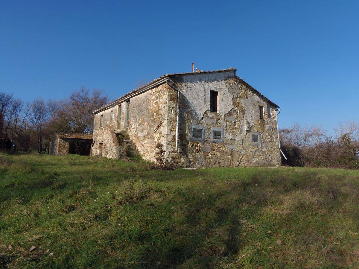 immagine annuncio 3 di 9