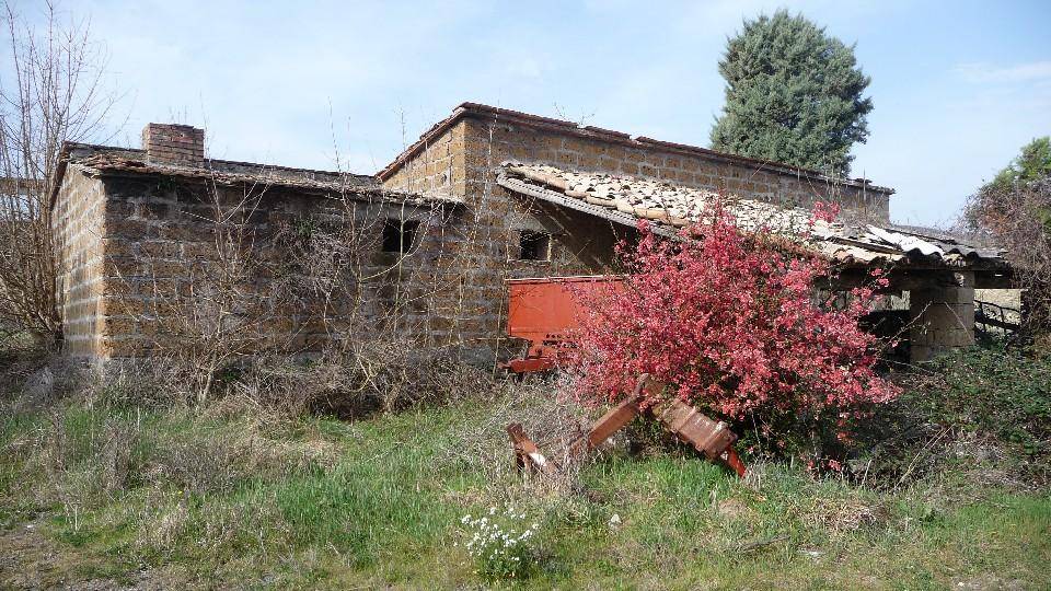 immagine annuncio 4 di 9