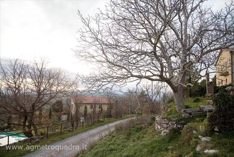immagine annuncio 6 di 8
