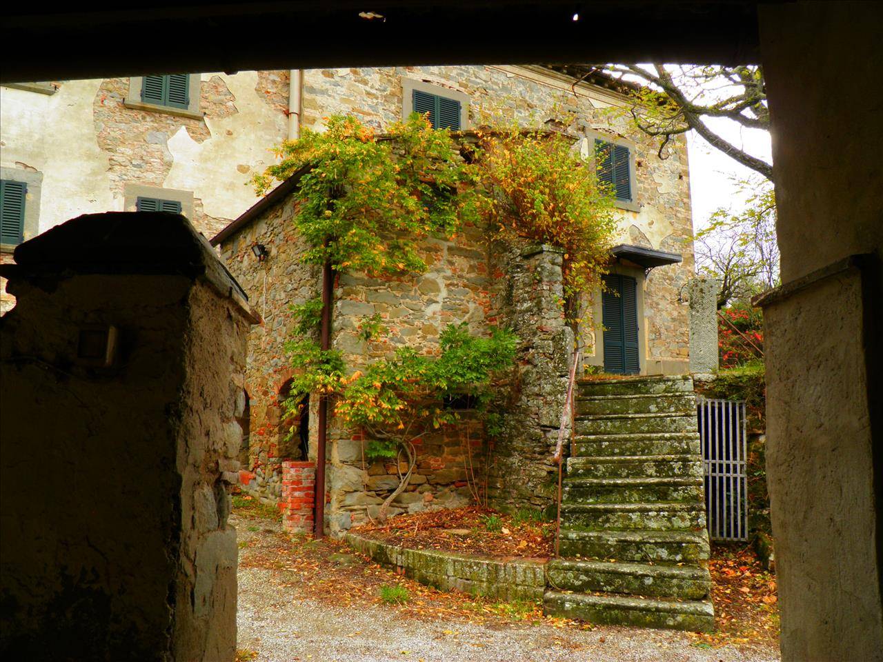 immagine annuncio 2 di 9