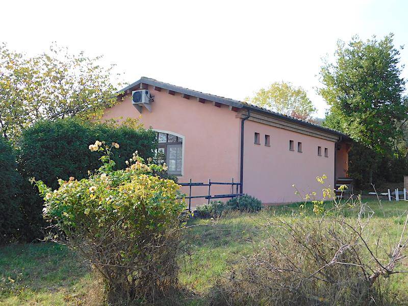 immagine annuncio 3 di 9