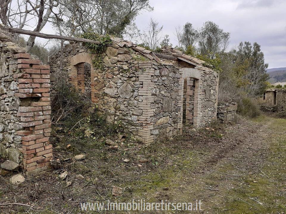 immagine annuncio 7 di 9