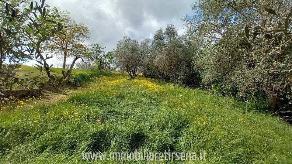 immagine annuncio 6 di 9
