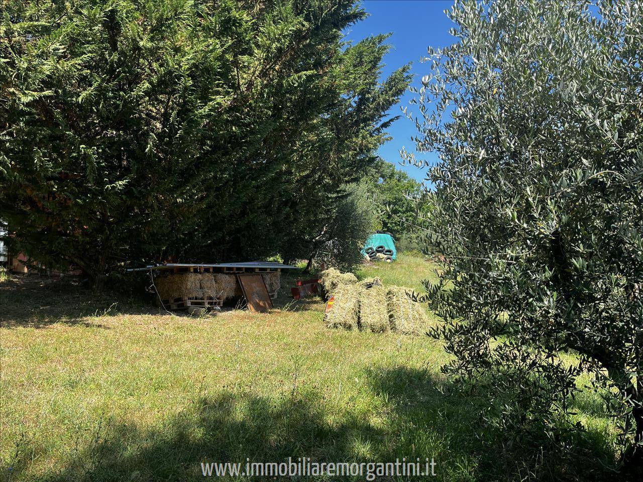 immagine annuncio 5 di 9