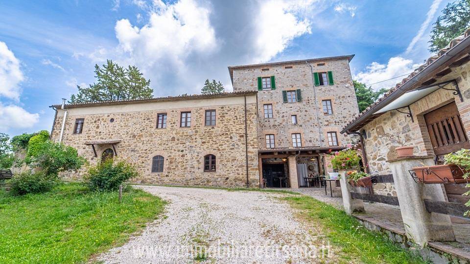 immagine annuncio 7 di 9