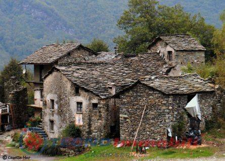 immagine annuncio 6 di 7