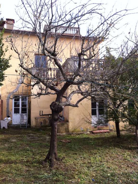 immagine annuncio 6 di 7