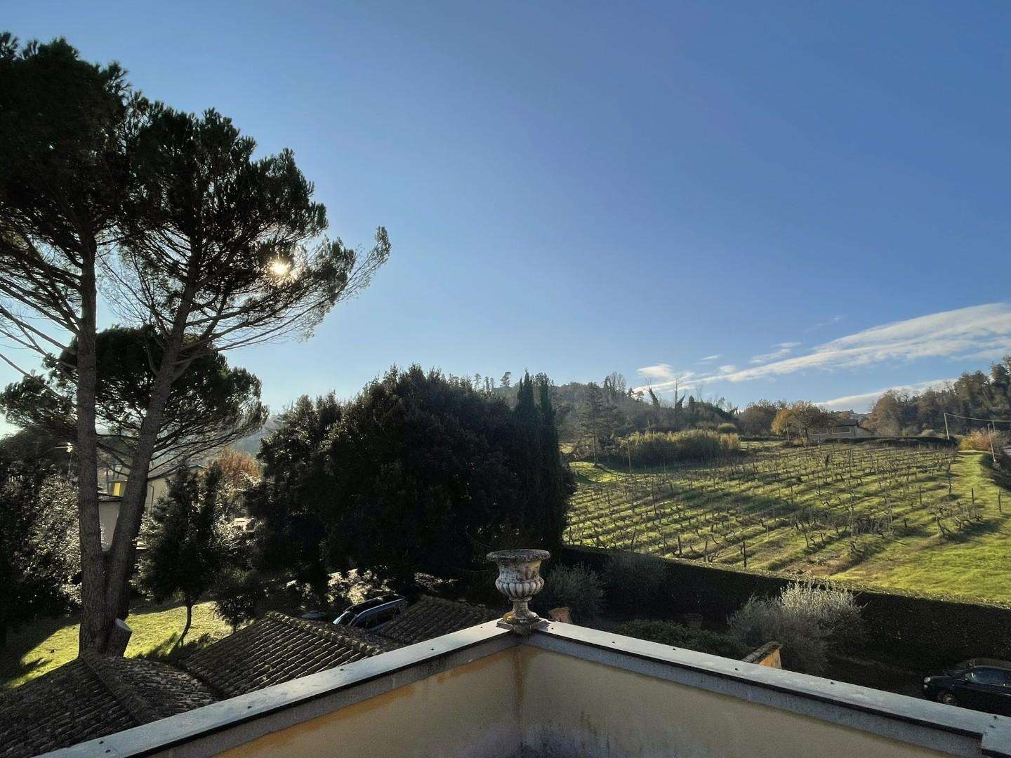  - foto 41