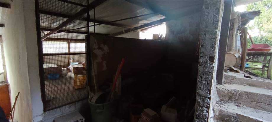  - foto 10