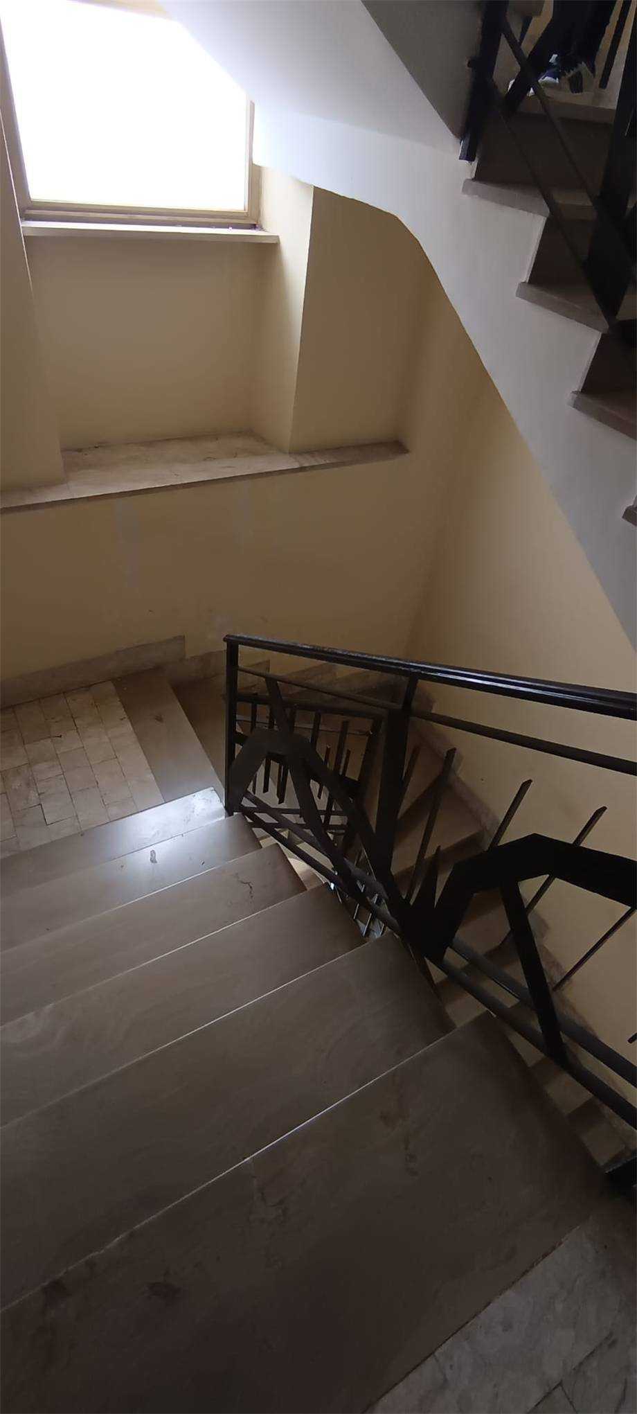  - foto 13