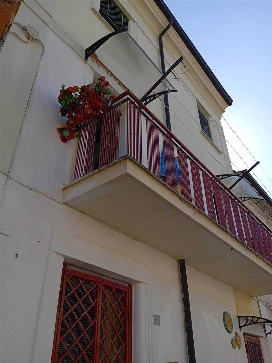  - foto 13