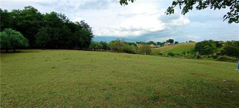  - foto 14