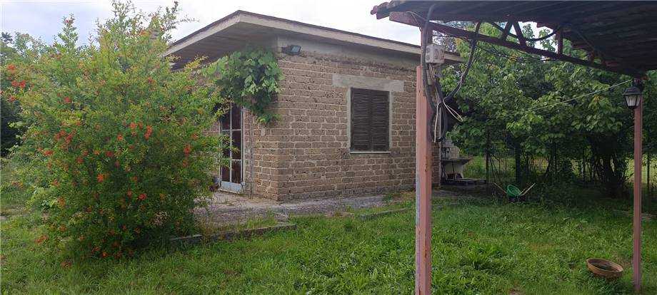  - foto 5