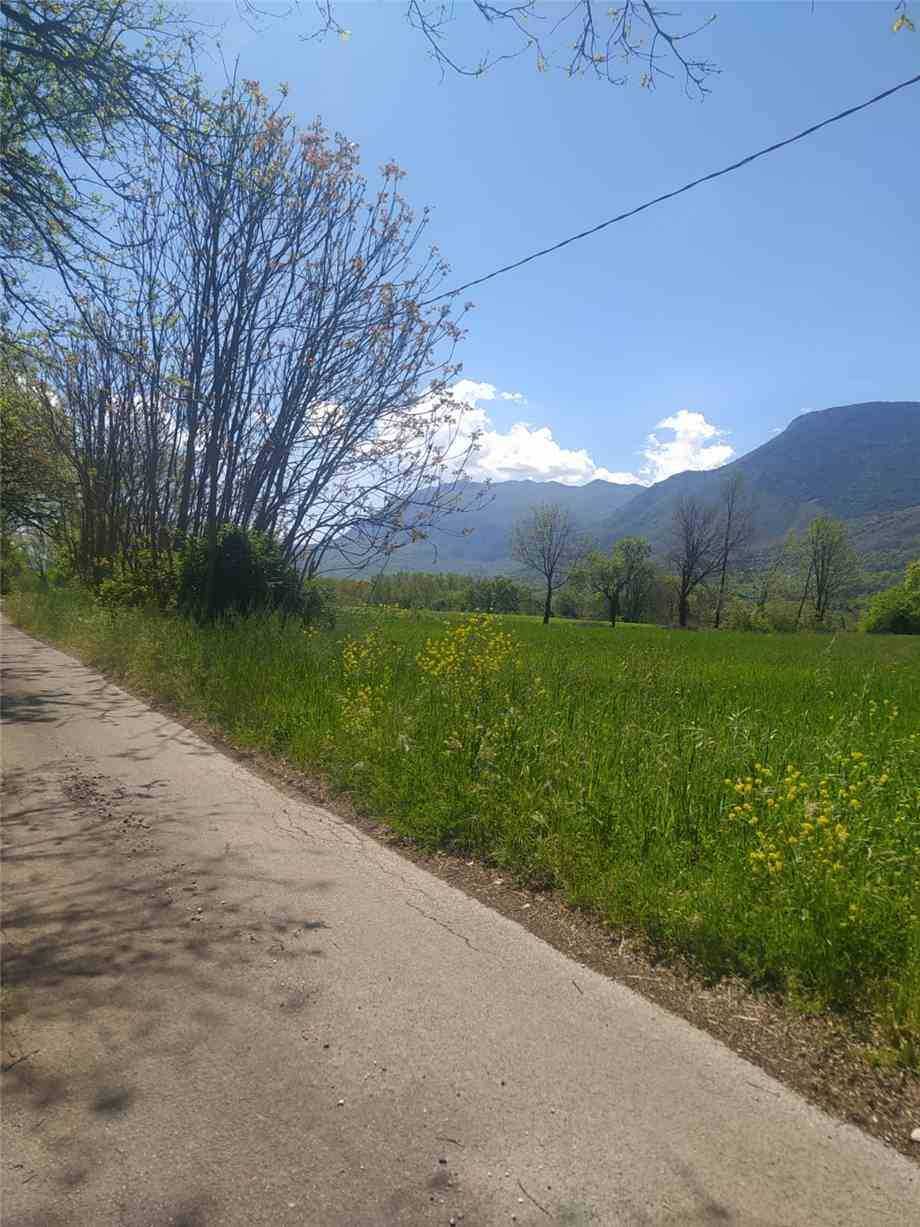 immagine annuncio 2 di 3