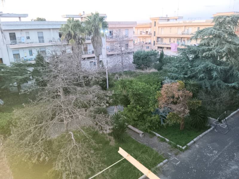 immagine annuncio 8 di 12