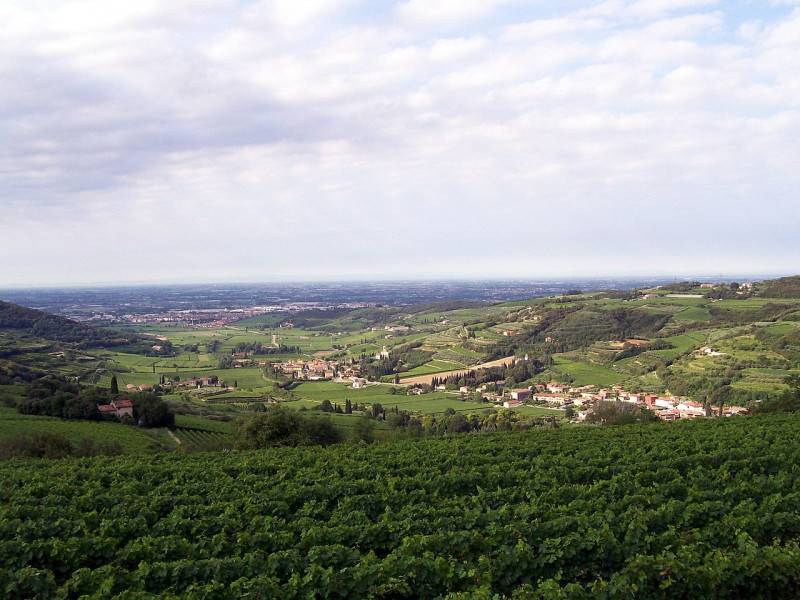 immagine annuncio 1 di 3