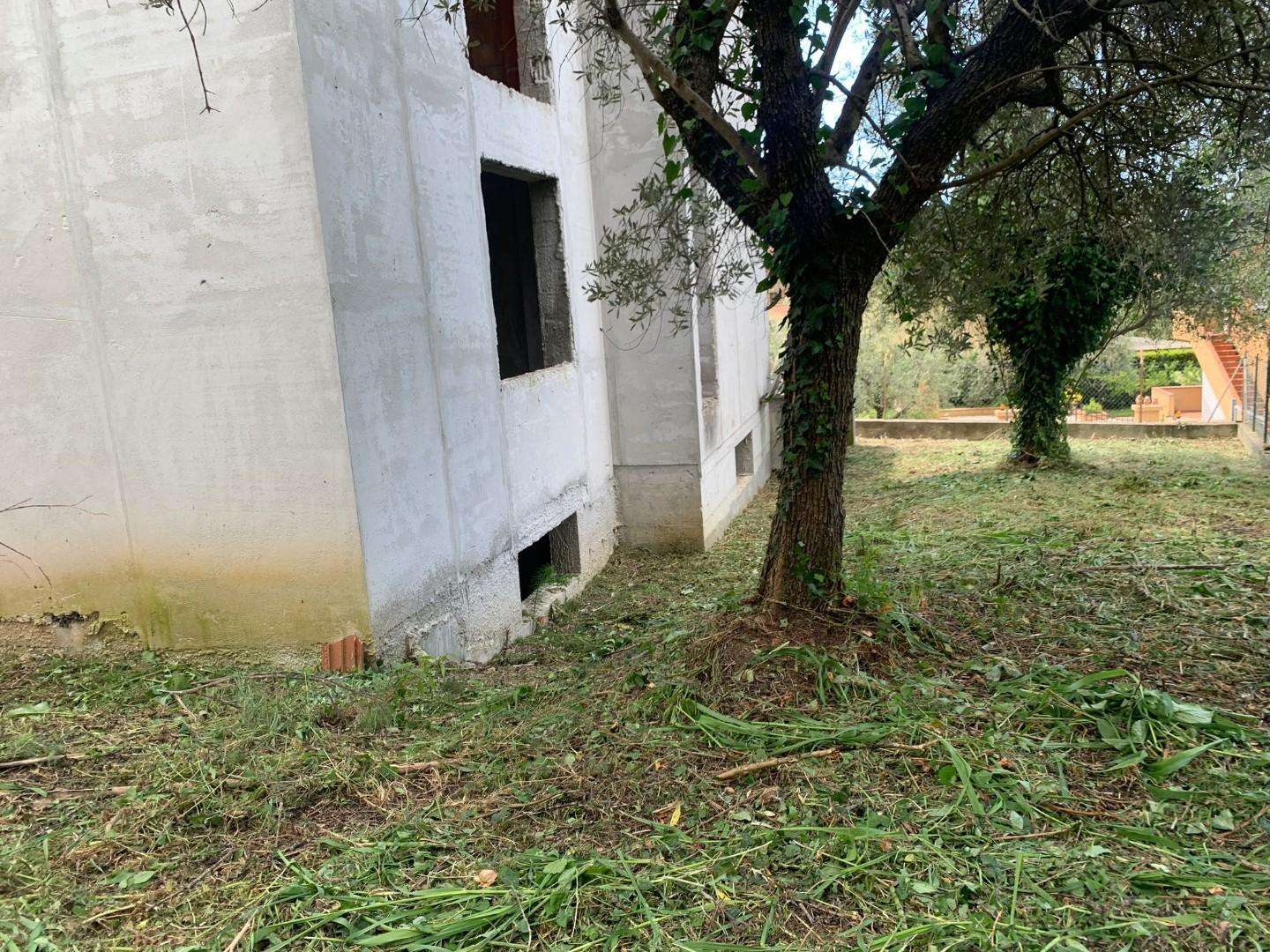  - foto 14