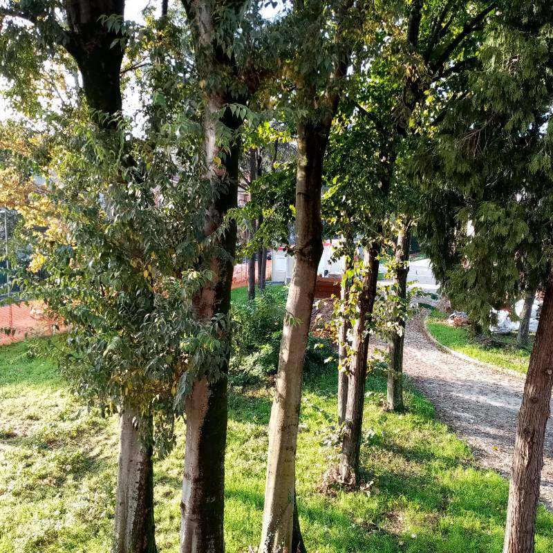  - foto 2