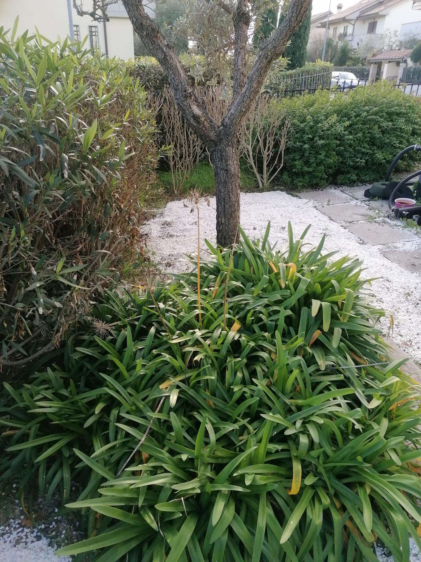 - foto 16