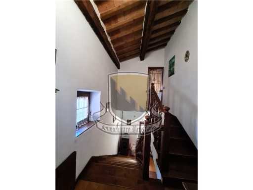  - foto 26