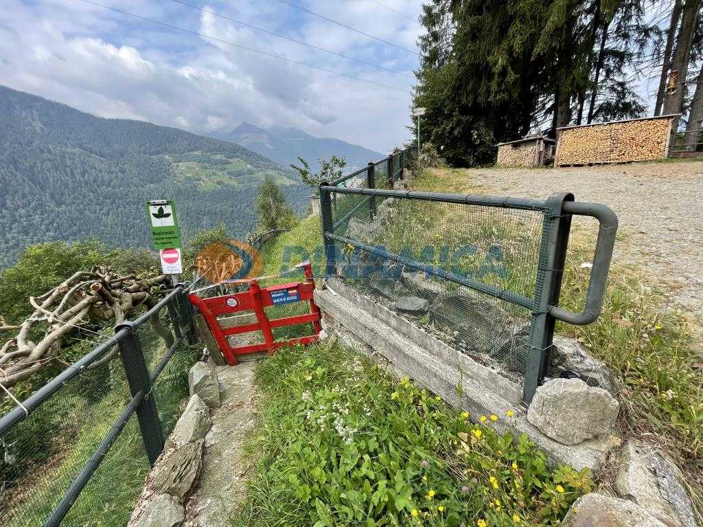  - foto 5
