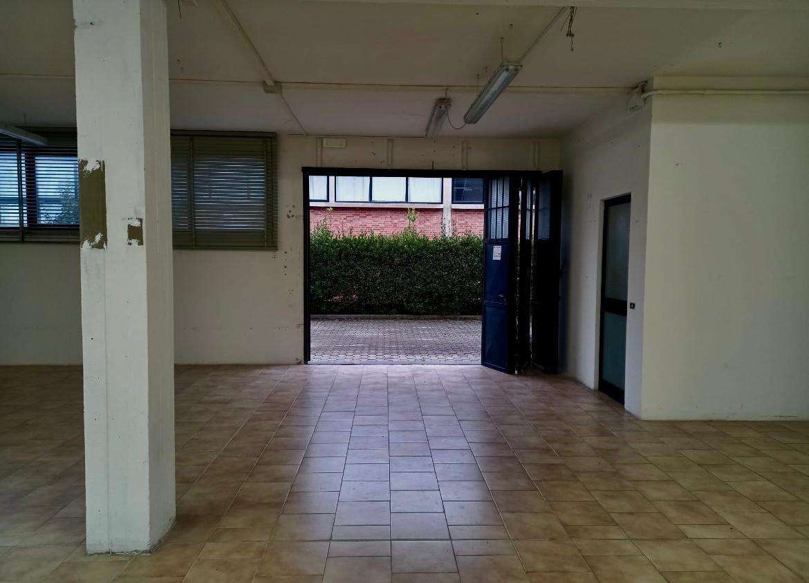 immagine annuncio 3 di 13
