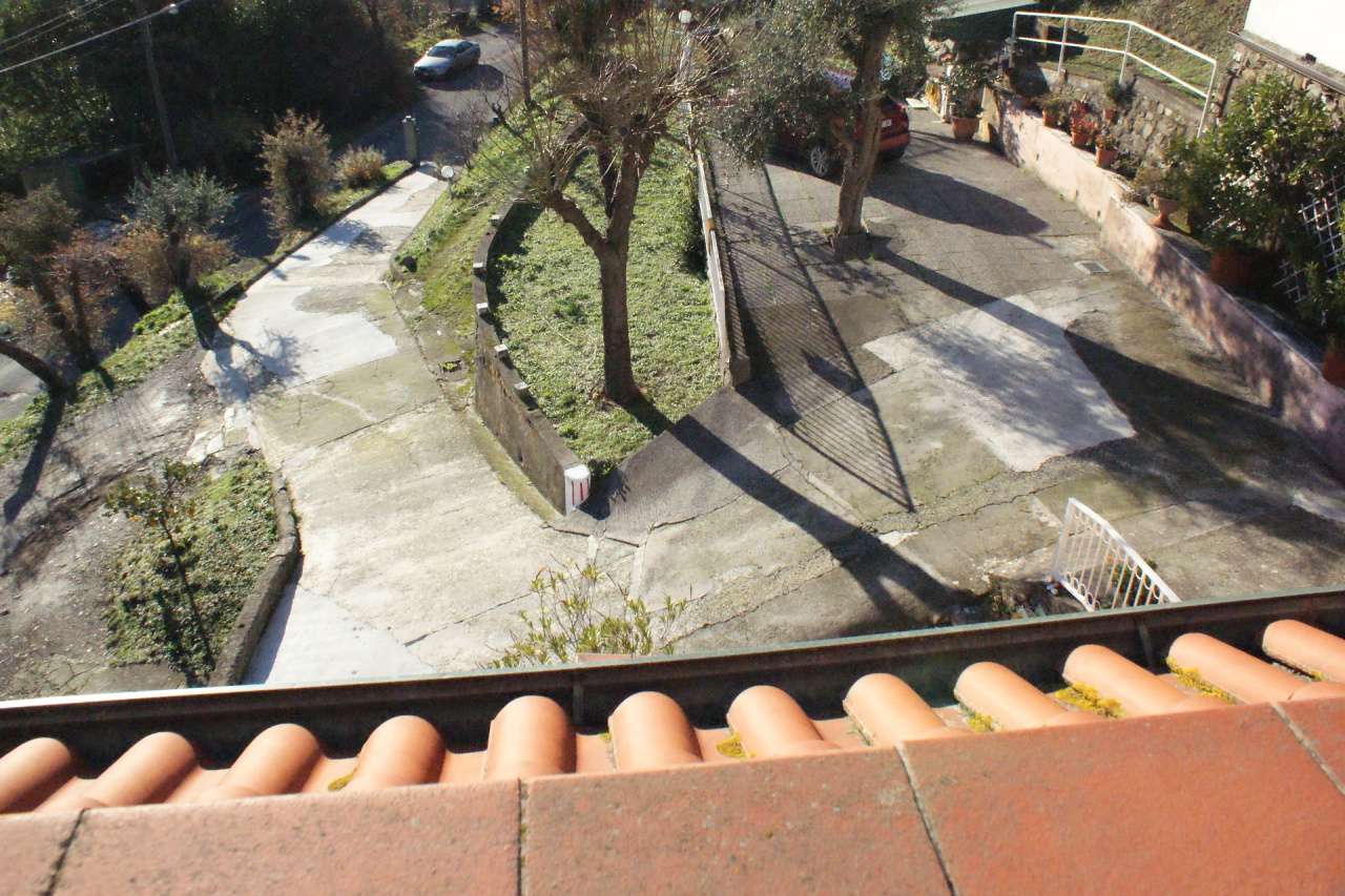  - foto 11