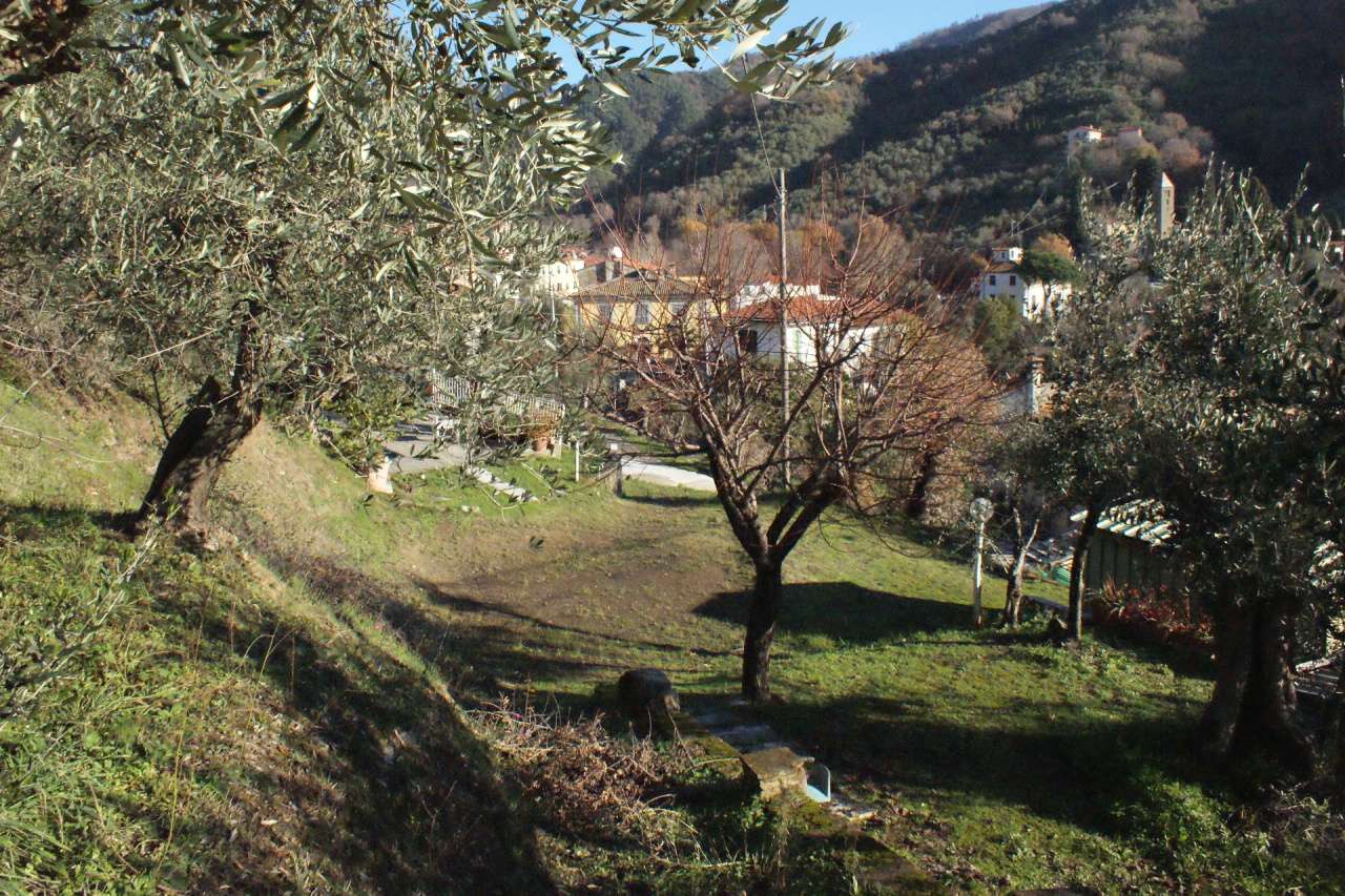  - foto 31