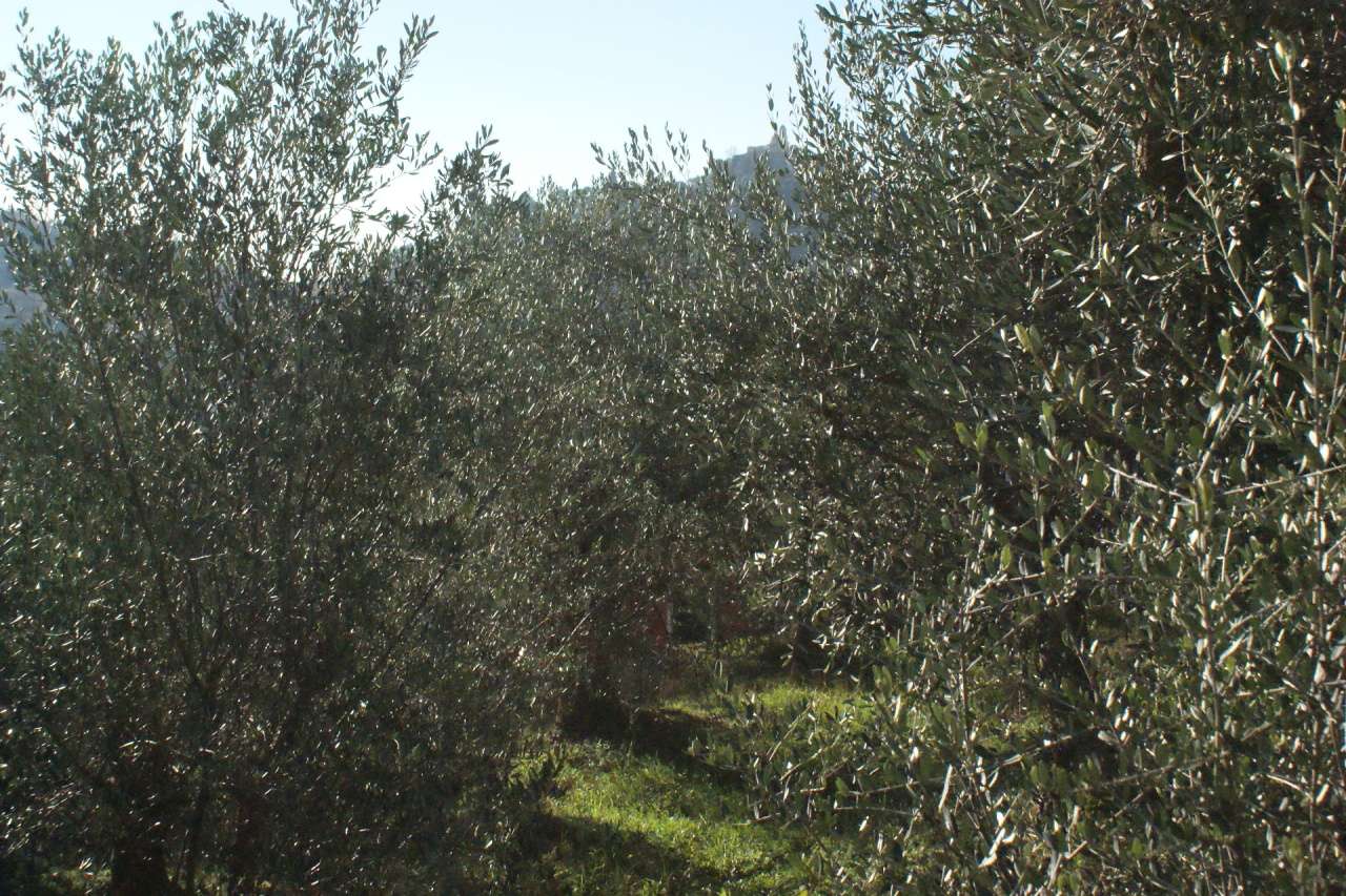  - foto 33