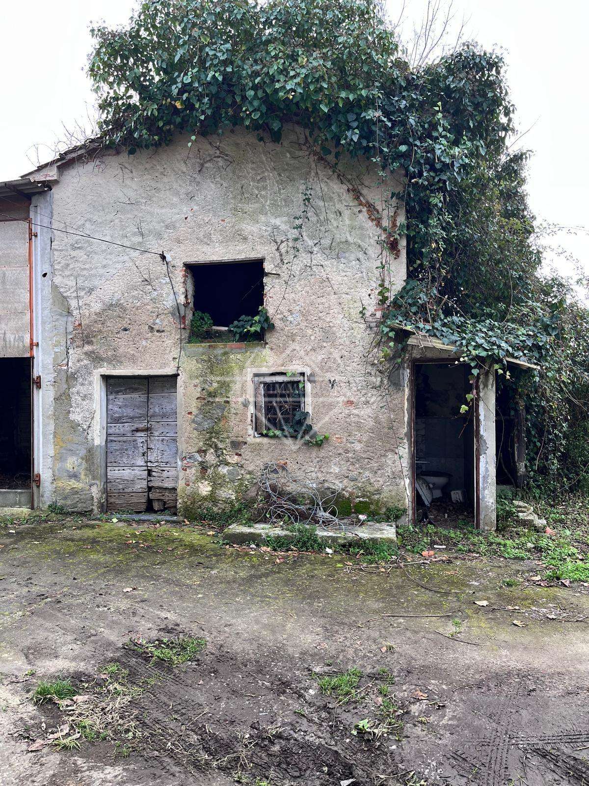 - foto 12