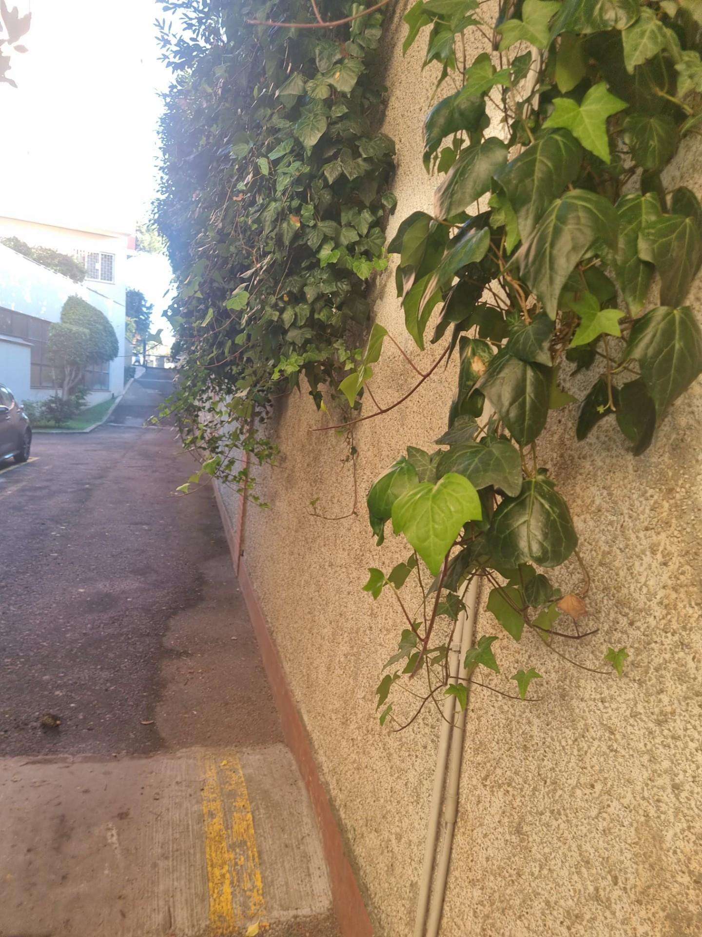  - foto 18