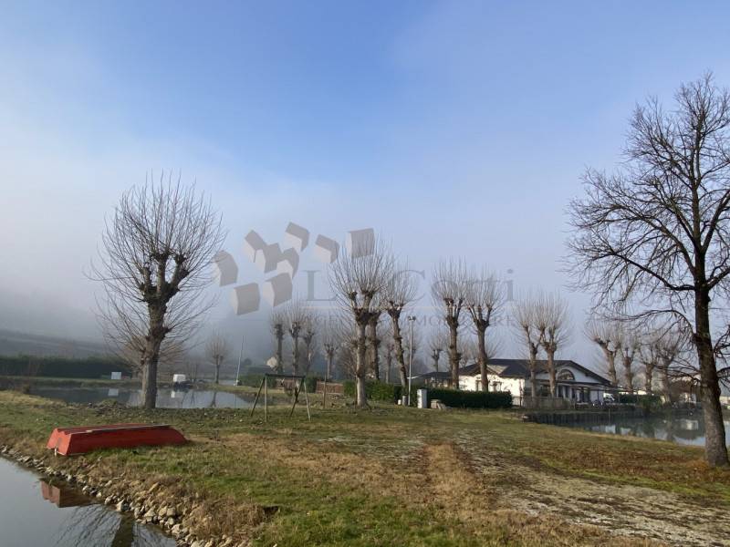 immagine annuncio 7 di 9