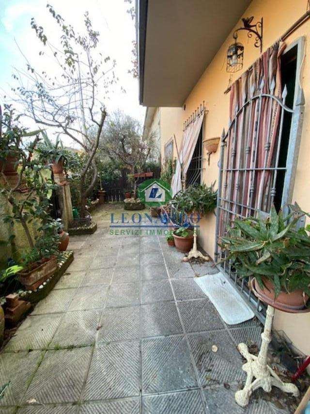  - foto 14