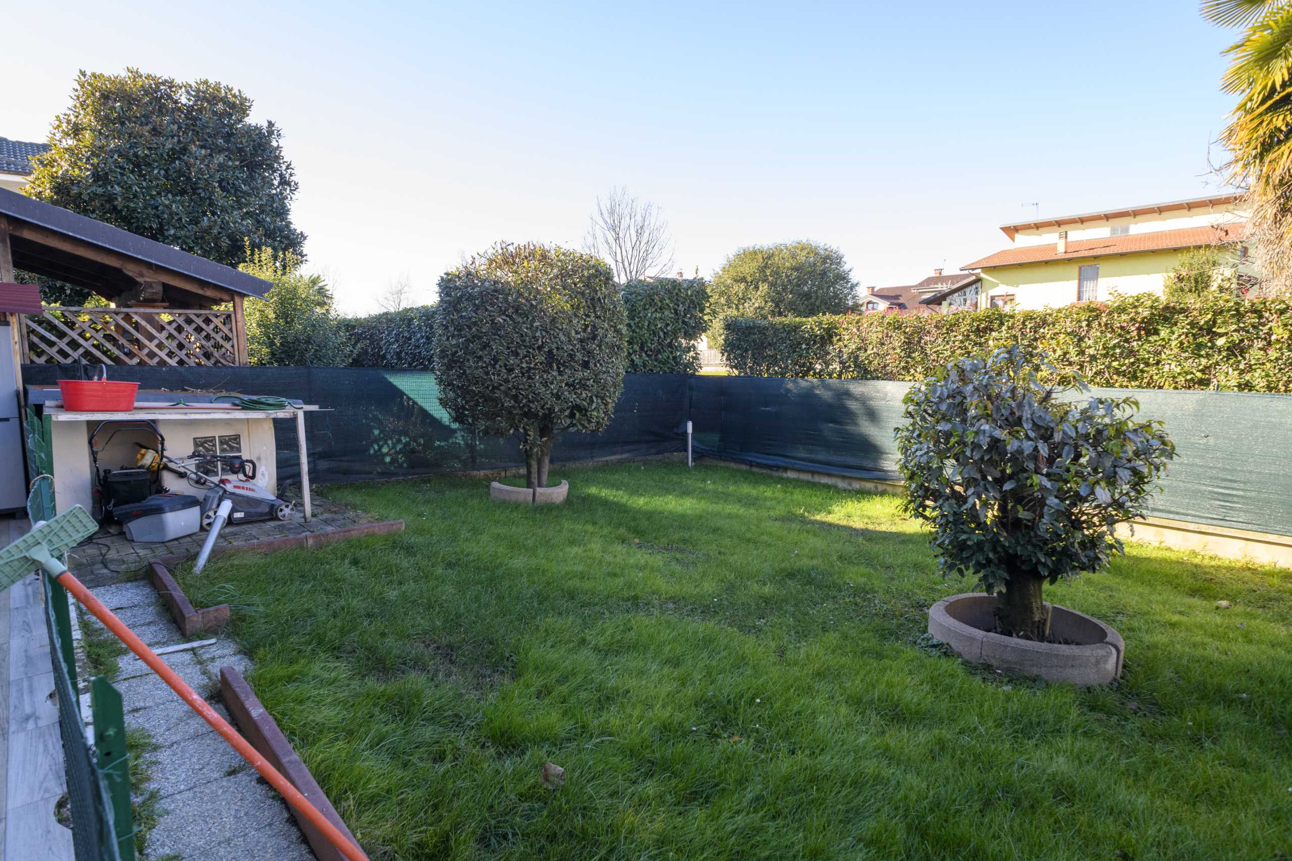 immagine annuncio 8 di 15