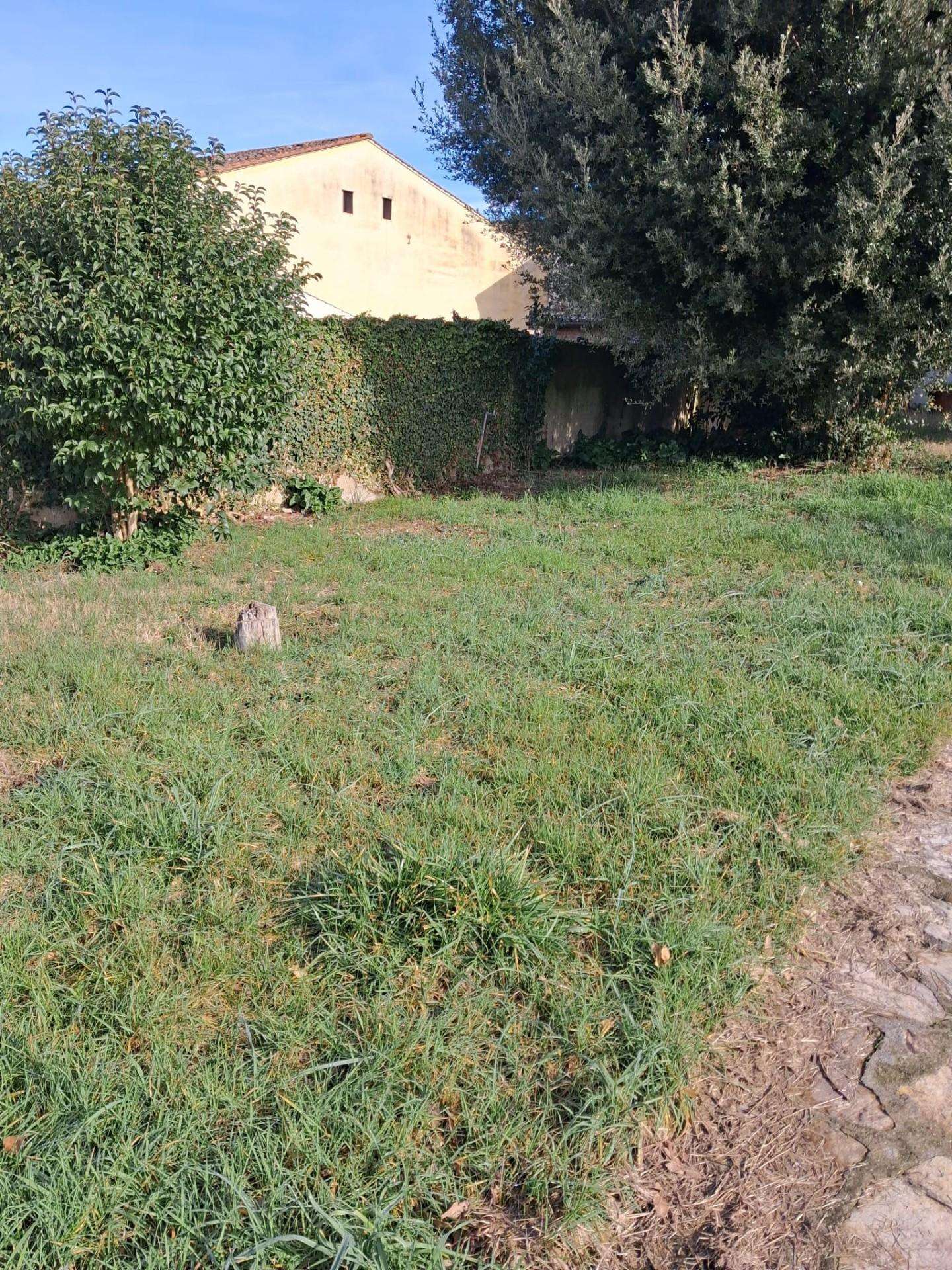  - foto 29