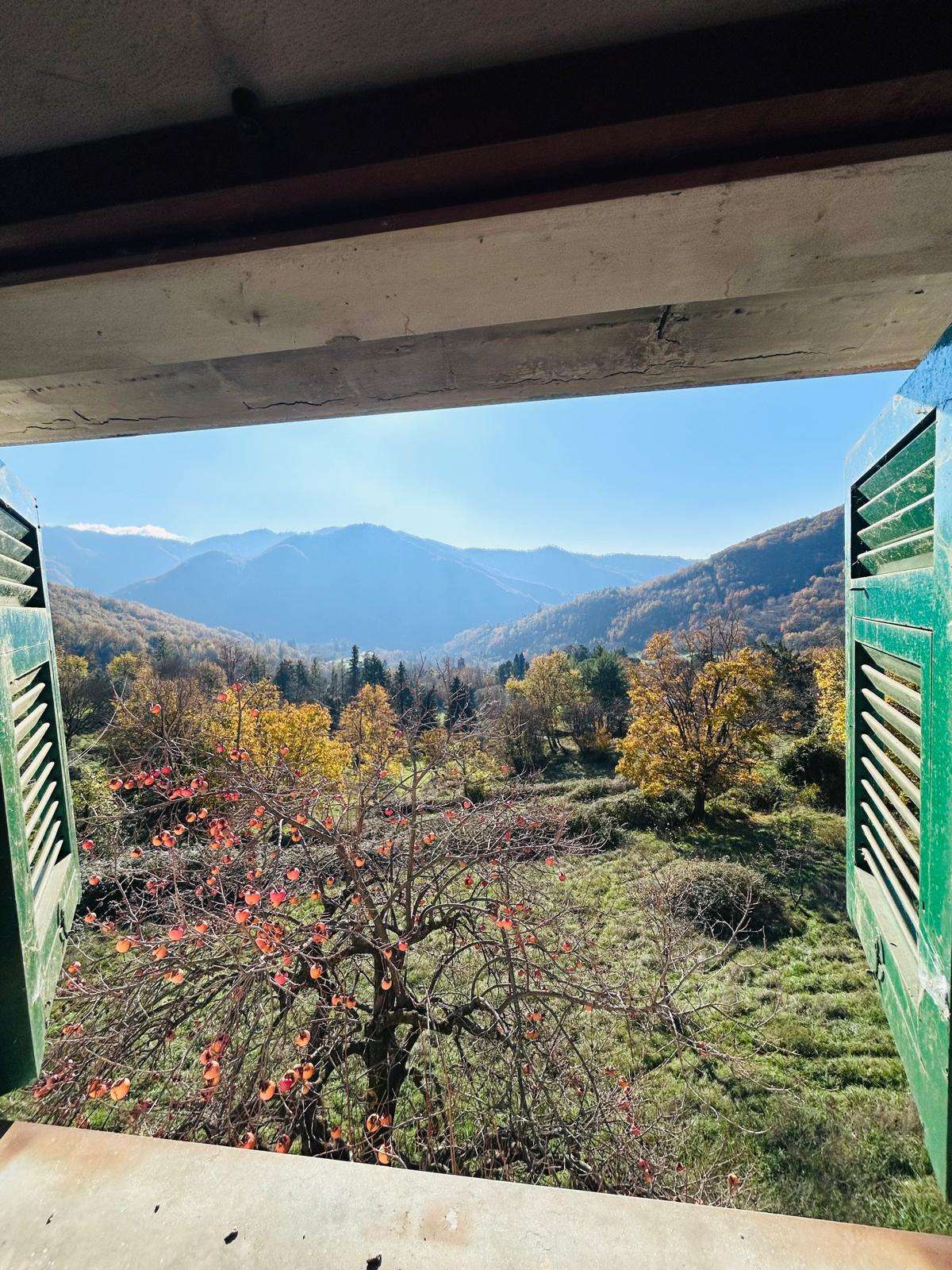  - foto 21