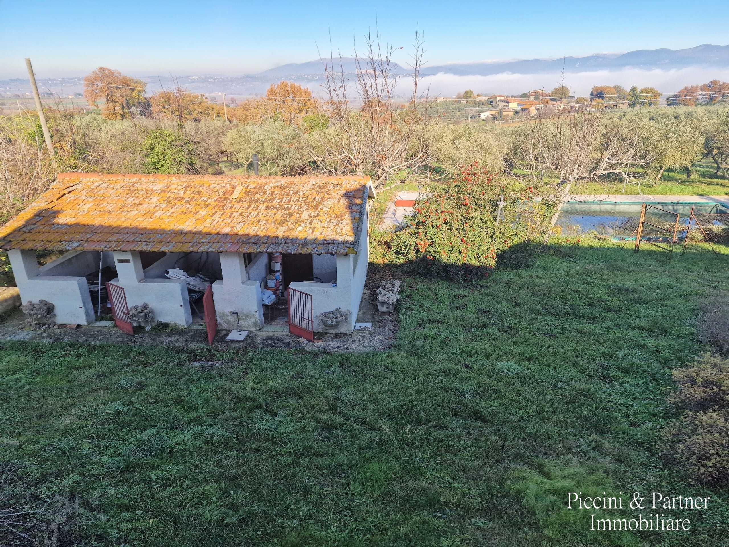  - foto 41