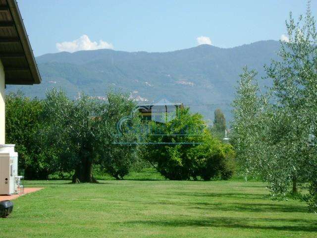  - foto 11