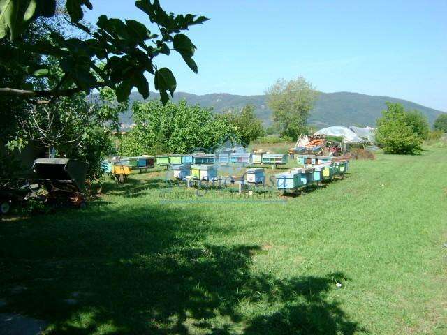  - foto 12