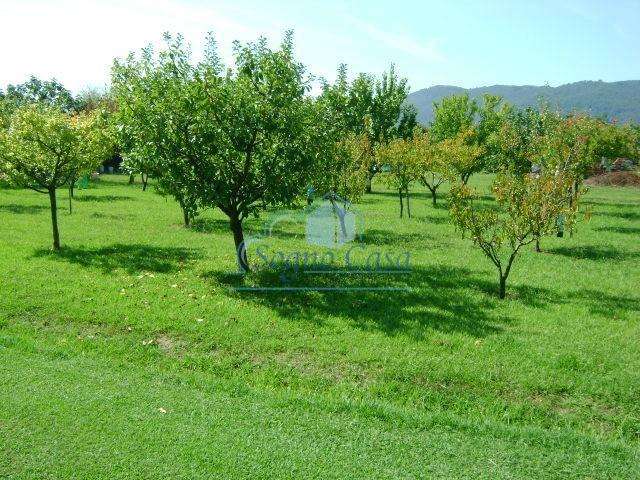  - foto 9