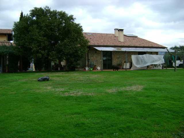  - foto 31