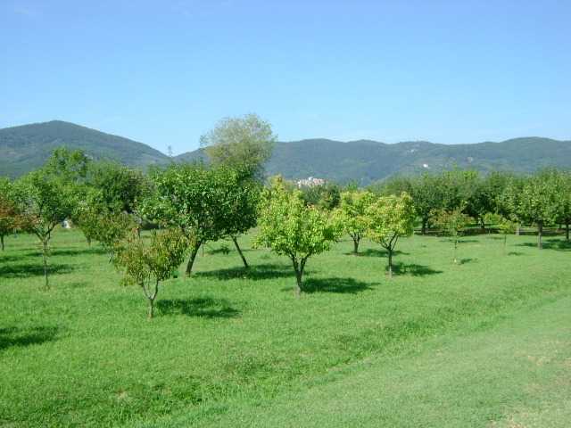  - foto 9