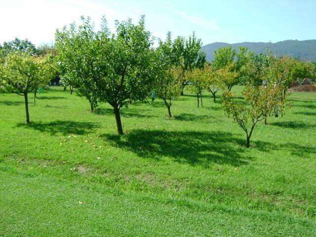  - foto 10