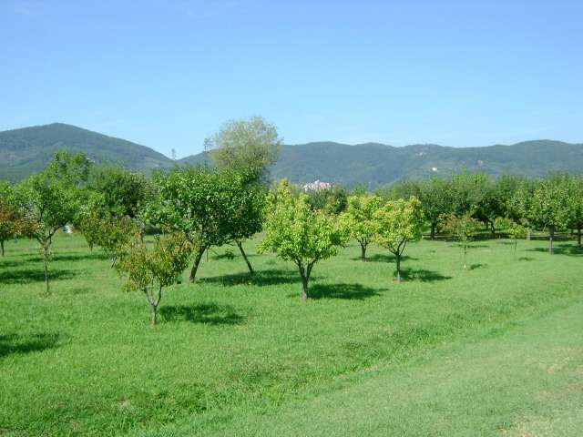  - foto 9
