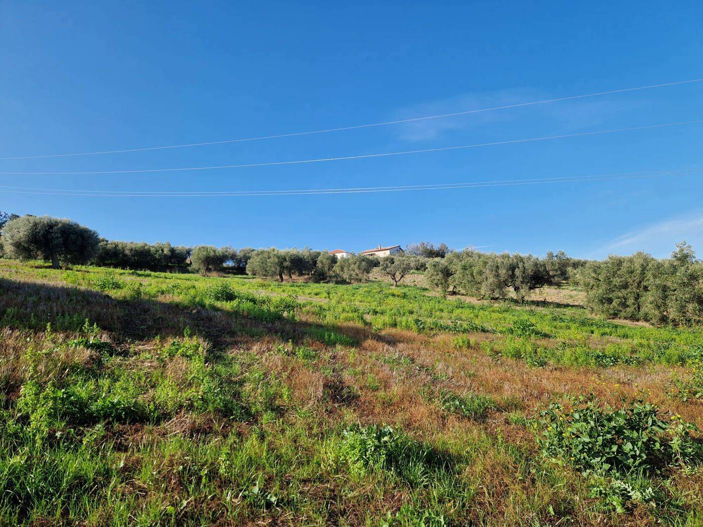 immagine annuncio 5 di 6