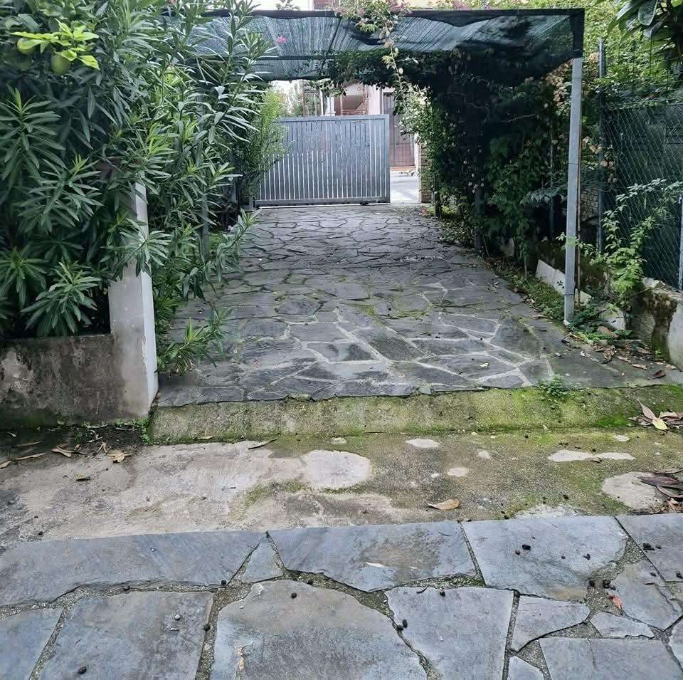  - foto 5