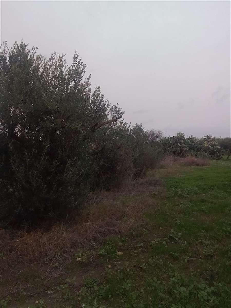 immagine annuncio 4 di 8