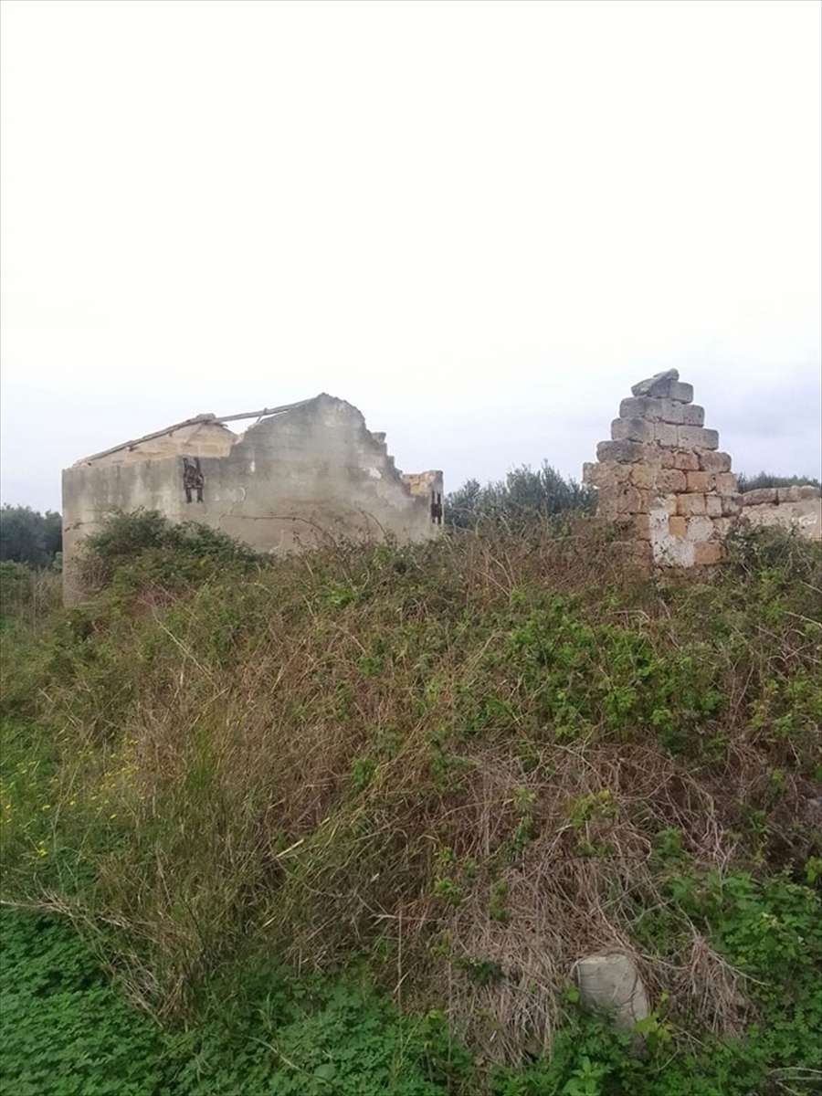 immagine annuncio 6 di 8